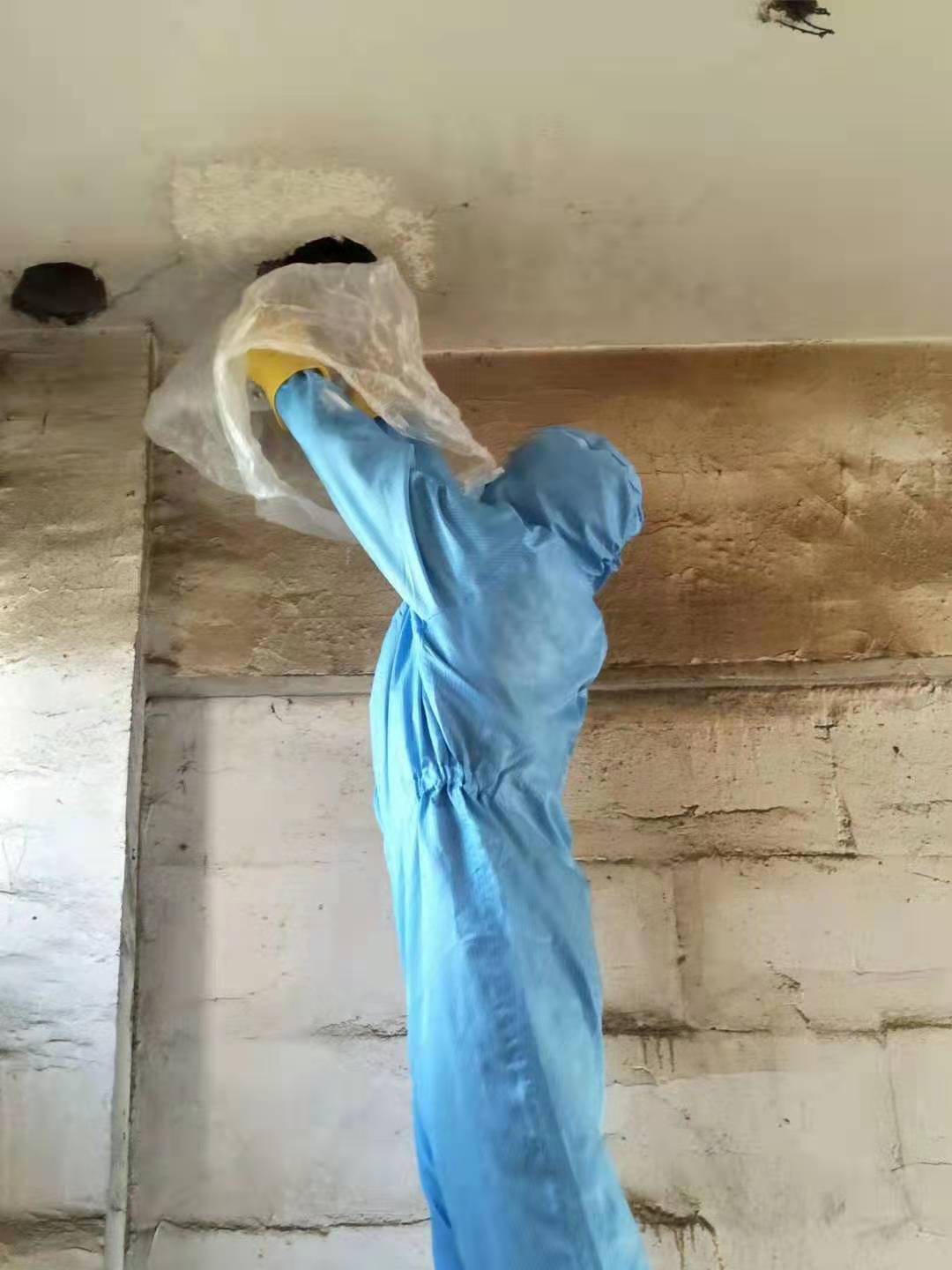 甘孜藏族自治州除虫